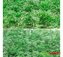 Искусственный газон Трава NA1532 25см х 25см 10шт Садовита
