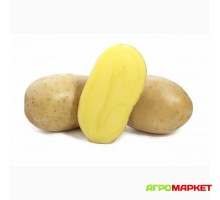 Картофель семенной Вега РС1-2